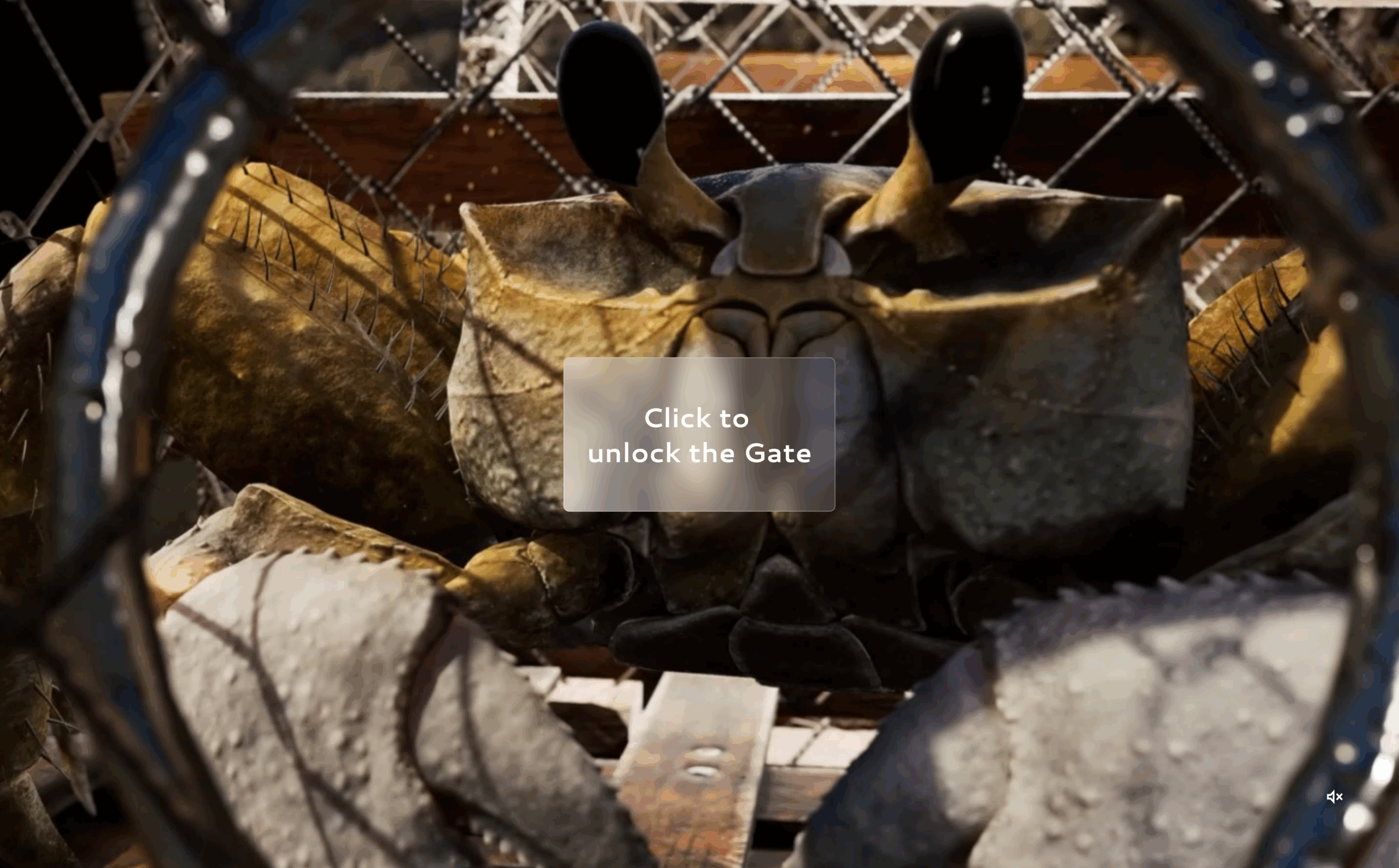 Story3.3 Crab+ Button