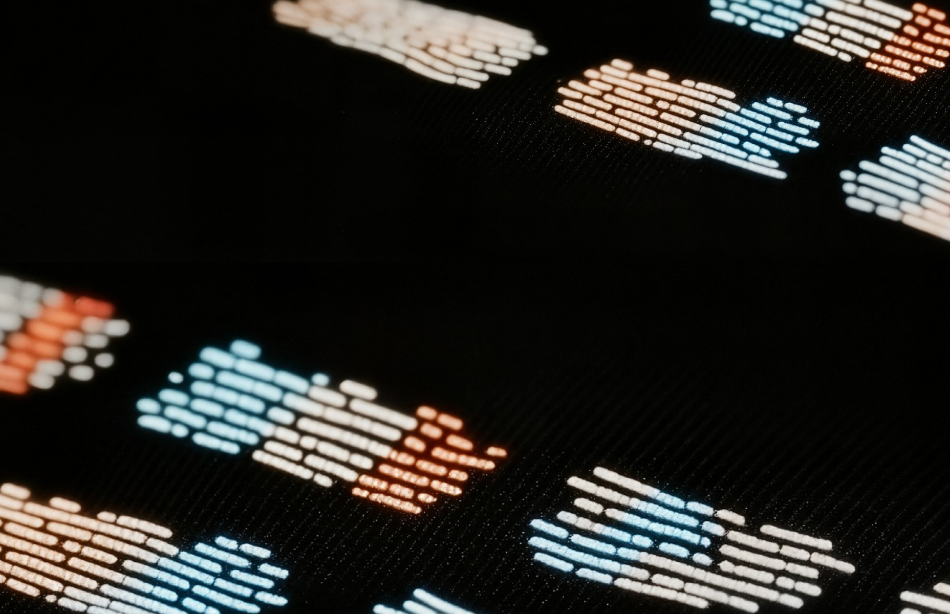 Wordpress Development cover image